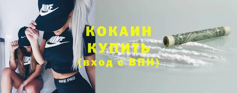 Кокаин FishScale  МЕГА   Костомукша 