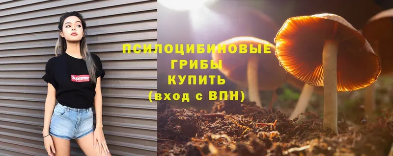 Галлюциногенные грибы MAGIC MUSHROOMS  Костомукша 